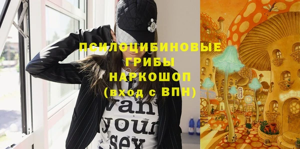 гидропоника Абаза